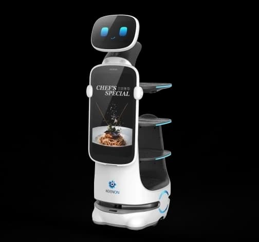 DINERBOT T10